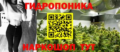 стаф Будённовск