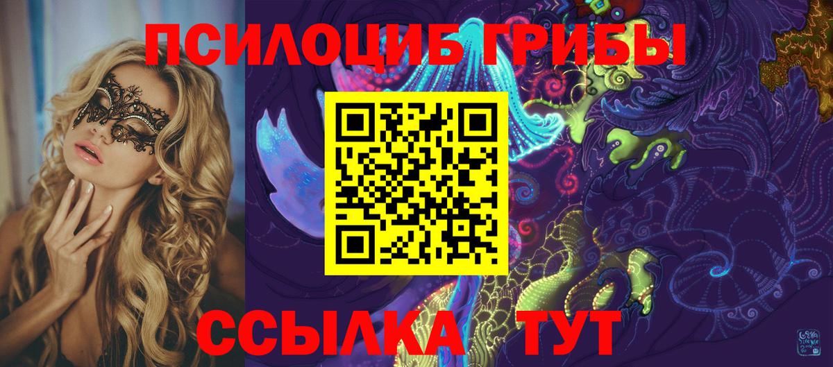 Галлюциногенные грибы Psilocybe  Вход с VPN  Геленджик  Псилоцибиновые грибы прущие грибы 