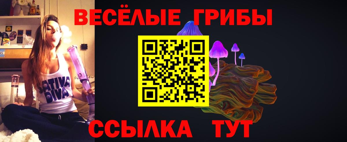 Галлюциногенные грибы MAGIC MUSHROOMS Геленджик